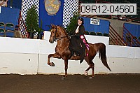 09r12-04560 proof