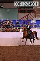 09r12-04561 proof