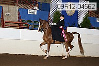 09r12-04562 proof