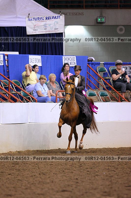 Proof 09r12-04563