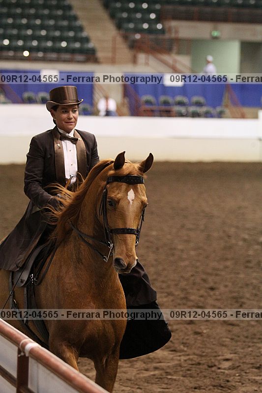 Proof 09r12-04565