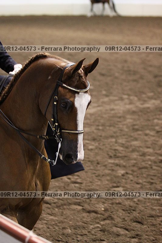 Proof 09r12-04573