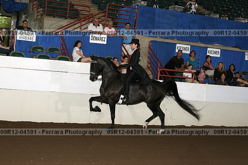 Proof 09r12-04591