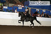 09r12-04591 proof