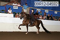 09r12-04592 proof