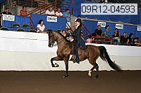 09r12-04593 proof