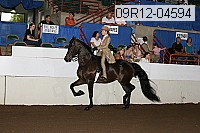 09r12-04594 proof