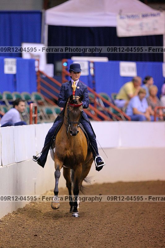 Proof 09r12-04595