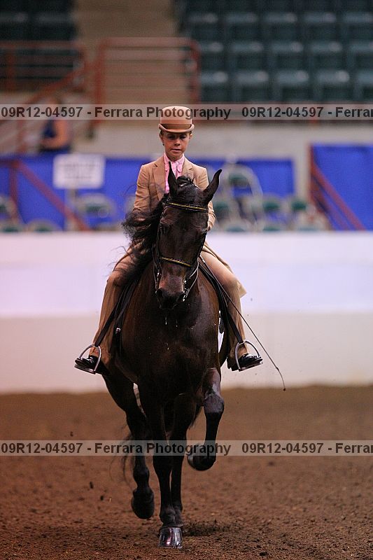 Proof 09r12-04597