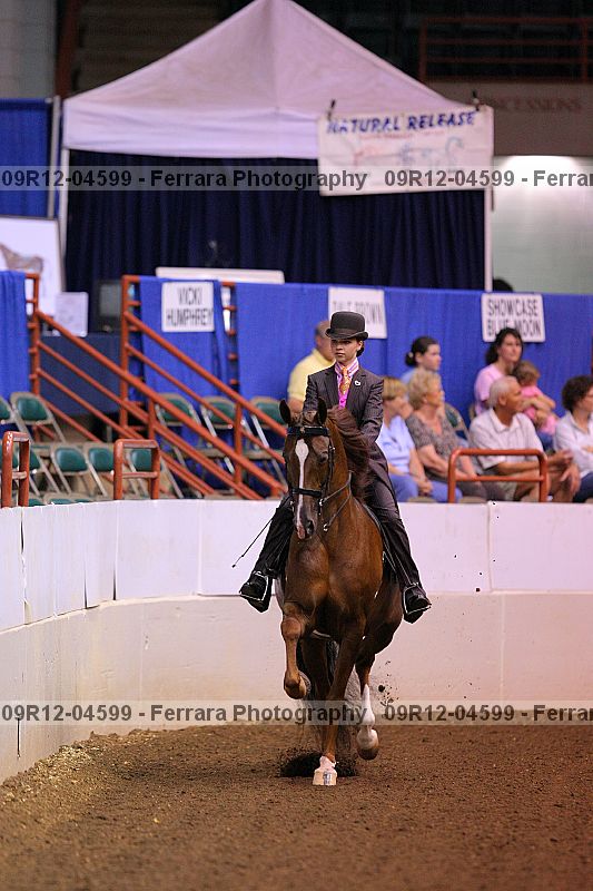 Proof 09r12-04599