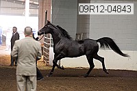 09r12-04843 proof