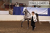 09r12-04853 proof