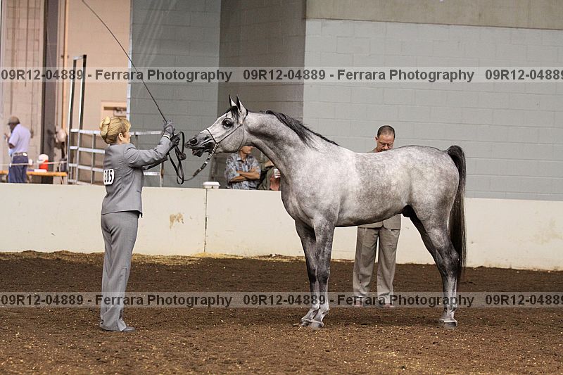 Proof 09r12-04889