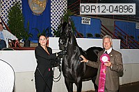 09r12-04896 proof