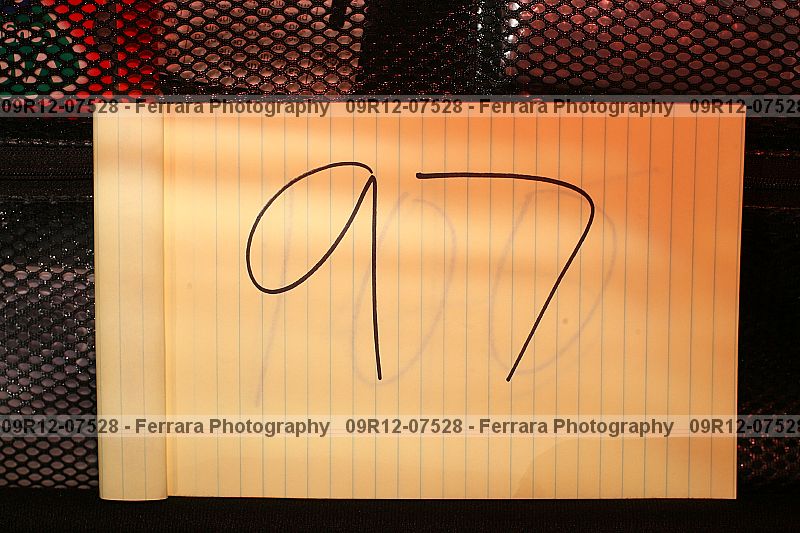 Proof 09r12-07528