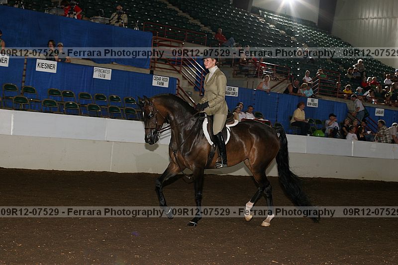Proof 09r12-07529