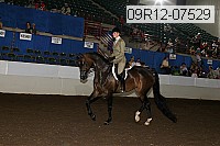 09r12-07529 proof
