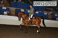 09r12-07532 proof