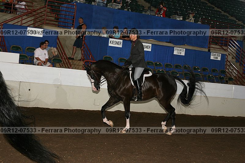 Proof 09r12-07533