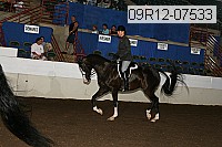 09r12-07533 proof