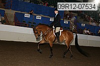 09r12-07534 proof