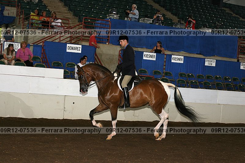 Proof 09r12-07536