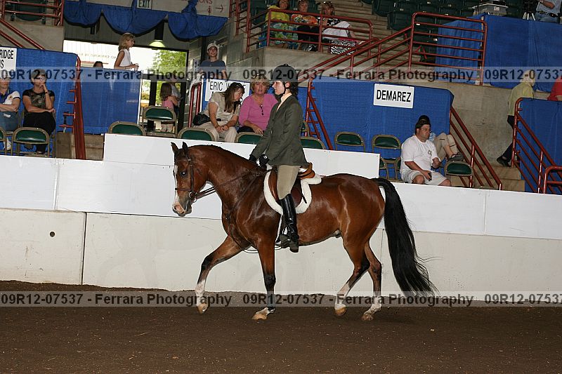 Proof 09r12-07537