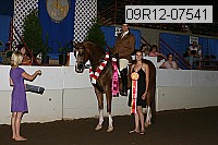 09r12-07541 proof