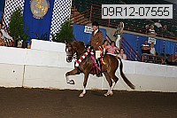 09r12-07555 proof