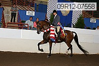 09r12-07558 proof
