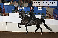 09r12-04989 proof