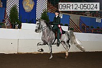 09r12-05024 proof