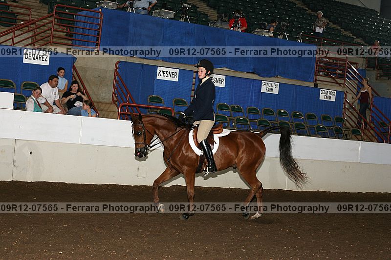 Proof 09r12-07565