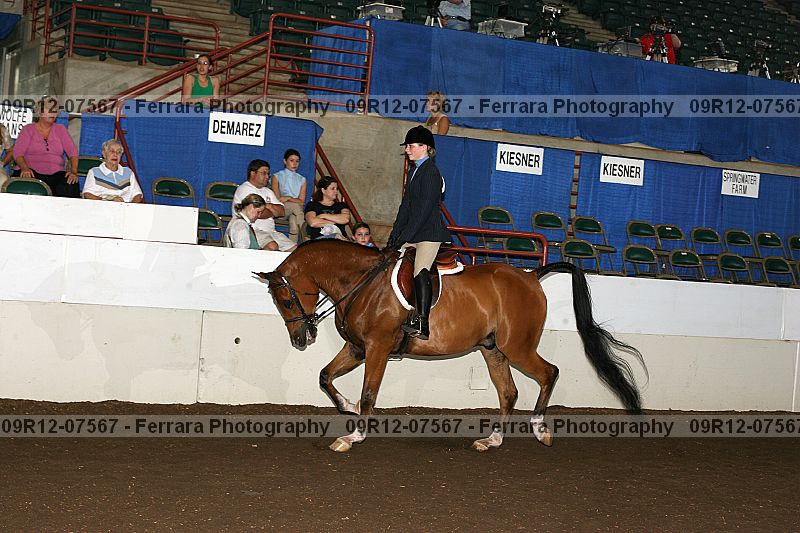 Proof 09r12-07567