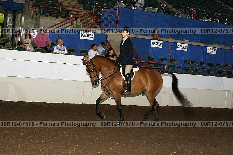 Proof 09r12-07570