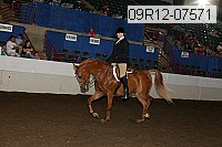 09r12-07571 proof