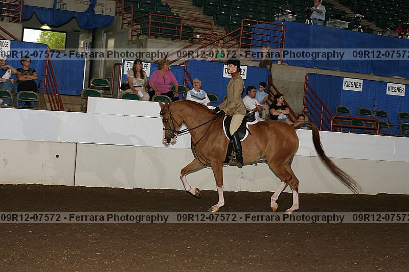Proof 09r12-07572