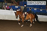 09r12-07573 proof