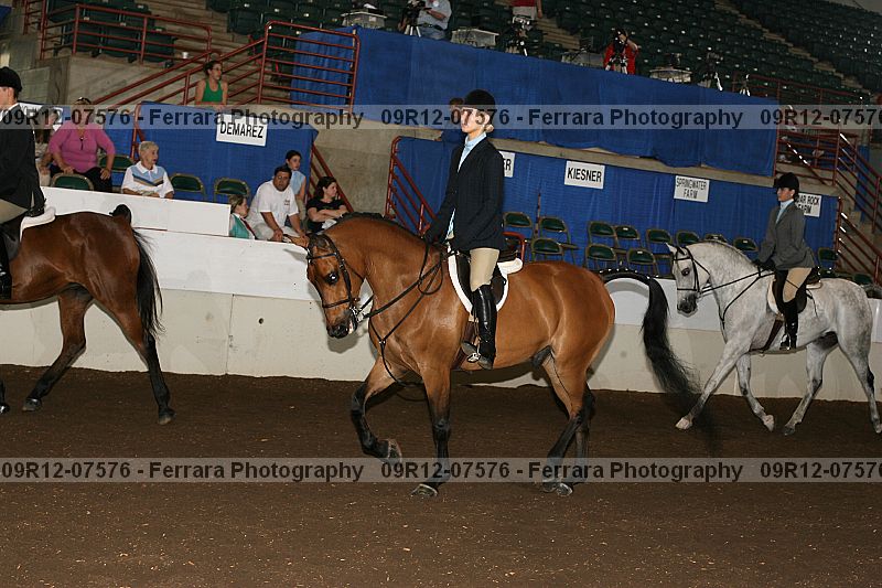 Proof 09r12-07576
