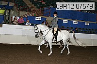 09r12-07579 proof