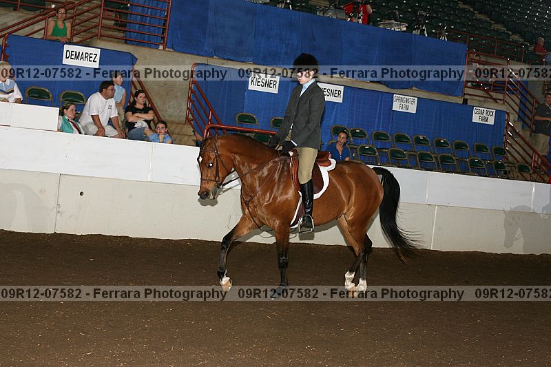 Proof 09r12-07582