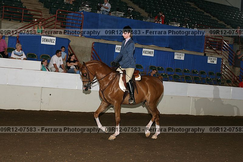 Proof 09r12-07583