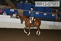 09r12-07583 proof