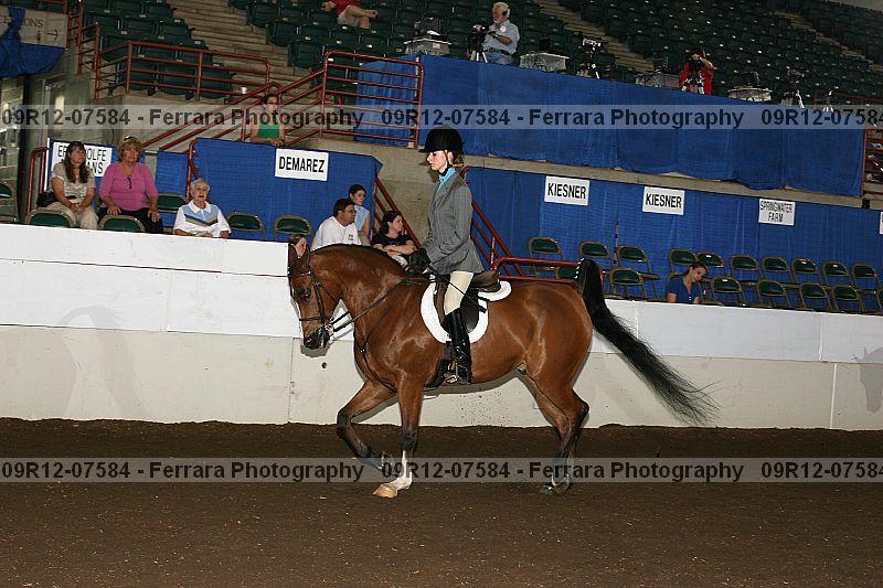 Proof 09r12-07584
