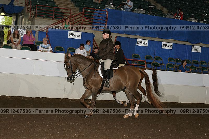 Proof 09r12-07586