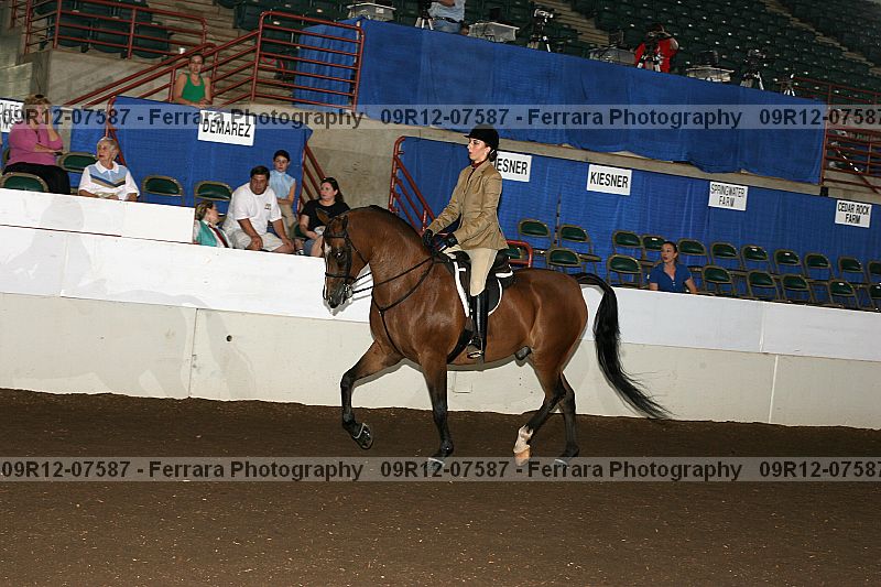 Proof 09r12-07587