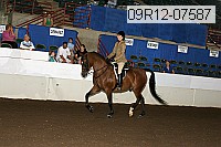 09r12-07587 proof