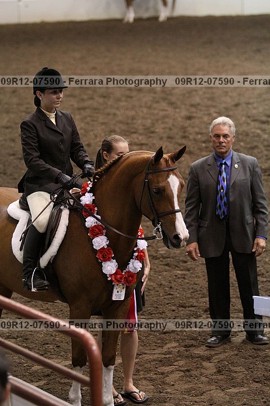 Proof 09r12-07590