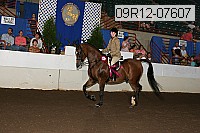 09r12-07607 proof