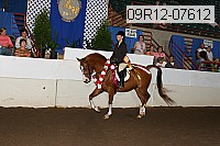 09r12-07612 proof